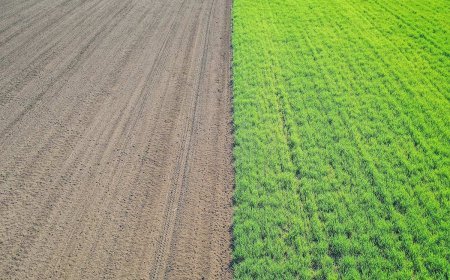 What are the Types of Green Technology? A Complete Guide