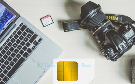 Can You Play Sims on MacBook? Free Download Guide!