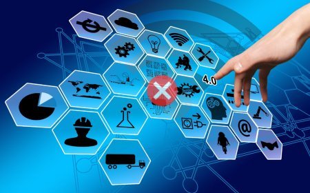 What are Issue Networks? Exploring Key Actors and Policy Process