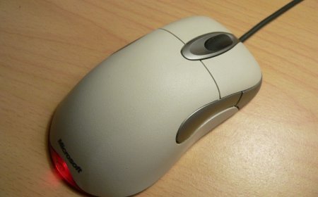 What is the Plural of a Computer Mouse? Find Out Now!