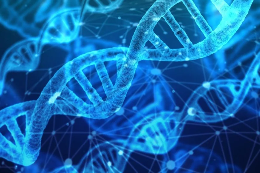 Which Career Combines DNA Technology and Forensics