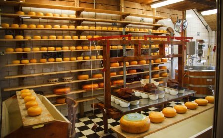 How Will Food Technology Revolutionize Food Prep & Consumption?