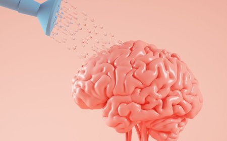What Tools Enable Psychologists to Study the Brain in Depth?