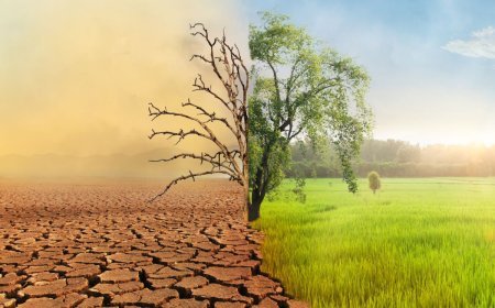 How Globalization & Tech Changes Impact Walmart: A Deep Dive