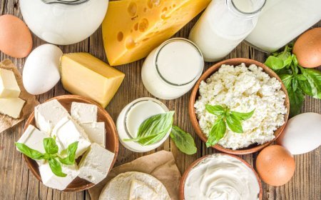 What is the Impact of Technology on Dairy Production? Revolutionizing Efficiency