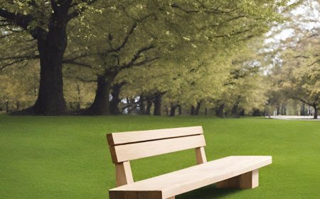 How Do You Install a Bench in Grass: Step-by-Step Guide