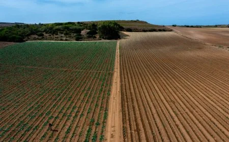 Sentera Technology in Regenerative Agriculture: Advancements and Impact