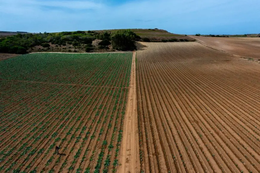 Sentera Technology in Regenerative Agriculture: Advancements and Impact