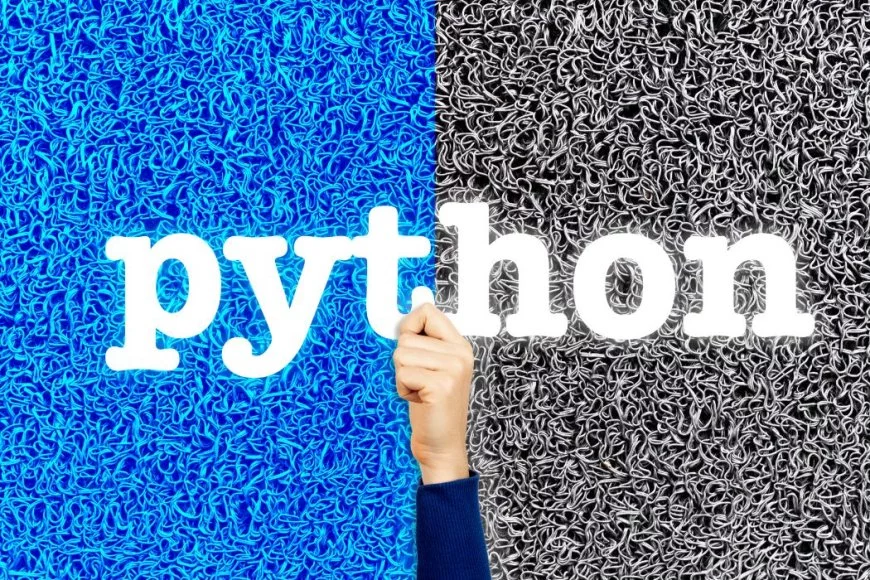 Python and PHP with SAP: Pros & Cons Revealed