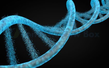 Which Career Combines DNA Technology and Medicine: A Genetic Counseling Overview