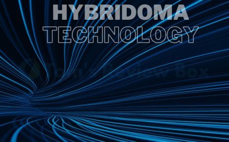 What is Hybridoma Technology: Monoclonal Antibody Production