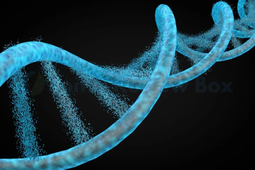 Which Career Combines DNA Technology and Medicine: A Genetic Counseling Overview
