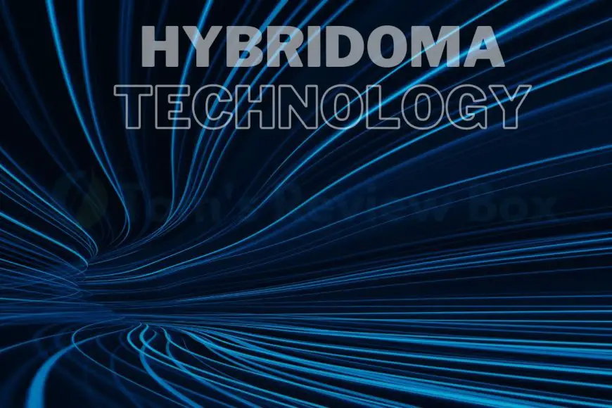 What is Hybridoma Technology: Monoclonal Antibody Production