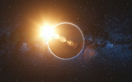 How Many Stars in the Solar System: Universe Scale