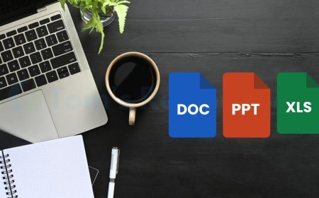 Best Laptop for Microsoft Office: Top 10 Models with Office Included