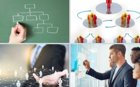 Small Business Blueprint: Crafting the Perfect Organizational Structure