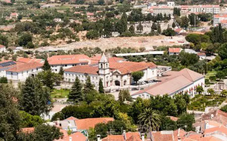 Weekend Escape to Castelo Branco: Where History Meets Adventure