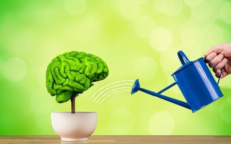 Boost Your Brainpower: 10 Tips for Success