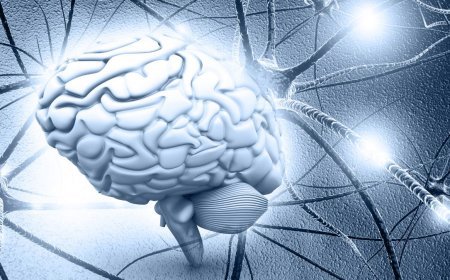 The Shocking Truth: How Stress Destroys Your Brain Cells