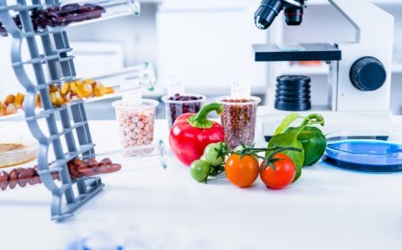 The Hidden Benefits of Food Technology: How Food Technology is Changing the Way We Eat and Live?