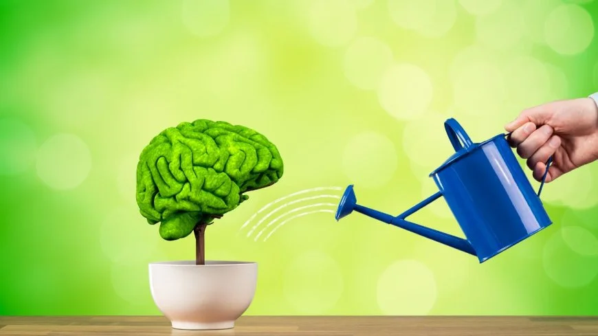 Boost Your Brainpower: 10 Tips for Success