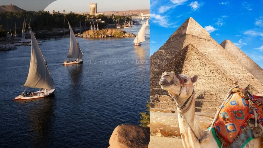 When is the Best Time to Travel to Egypt? Monthly Guide