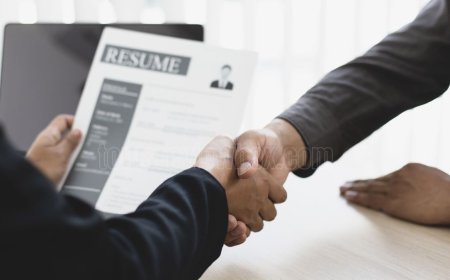 How Many Jobs Are Available in Finance? (With Key Roles ...)