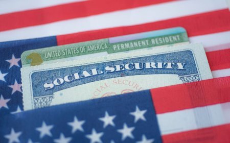 2025 Social Security COLA Increase Calculator: What to Expect!
