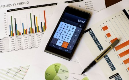 What is the Difference in Perspective Between Finance and Accounting?