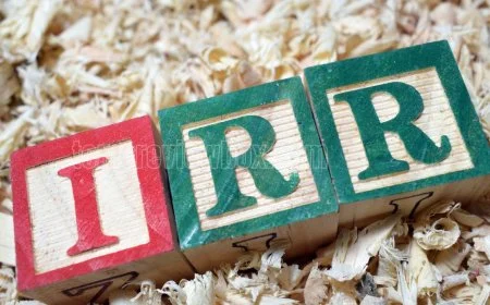 What Is Internal Rate of Return (IRR) in Finance? Definition & Calculation