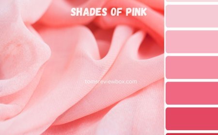 Shades of Pink: 150 Pink Colors with Names, Hex, RGB, ...