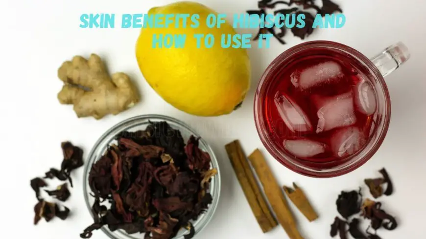 Top 5 Skin Benefits of Hibiscus and How to Use It?