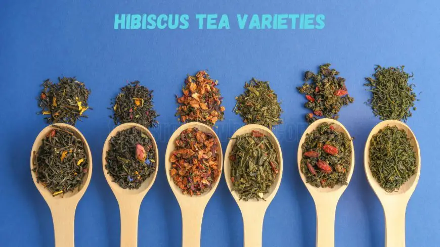 Hibiscus Tea Varieties: Health Benefits & Brewing Tips