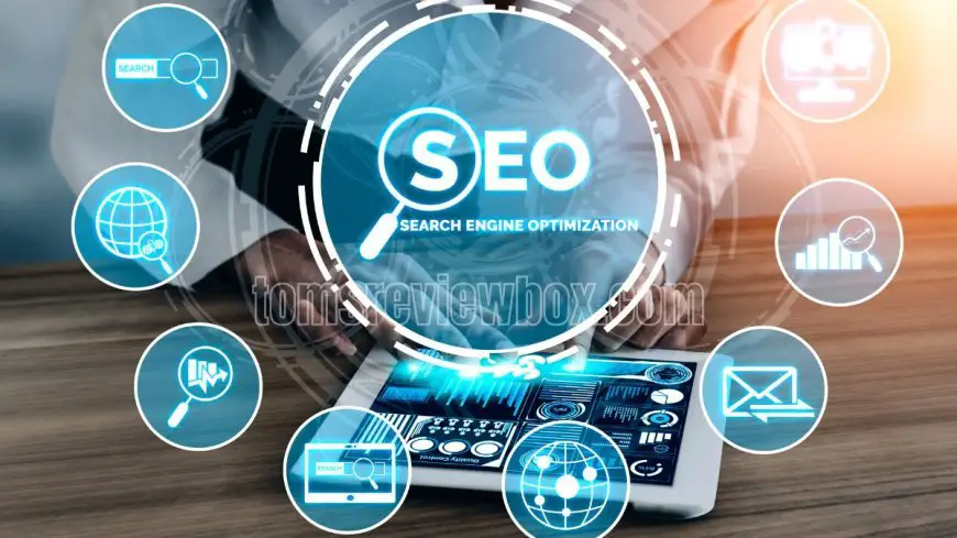 The 15 Best Local SEO Firms to Elevate Your Business in 2025