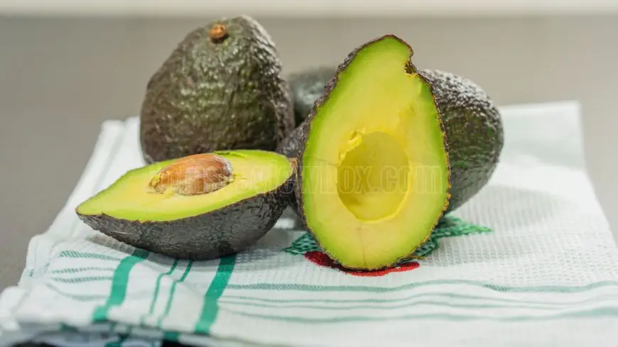 Avocado: A potassium powerhouse for your diet