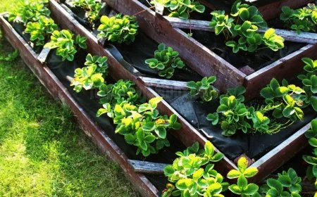 How to make a salad in grow a garden - step-by-step guide